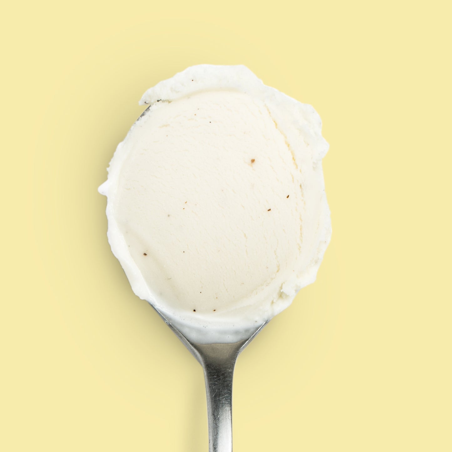 Honey Vanilla Bean Pint Jeni's Splendid Ice Creams   