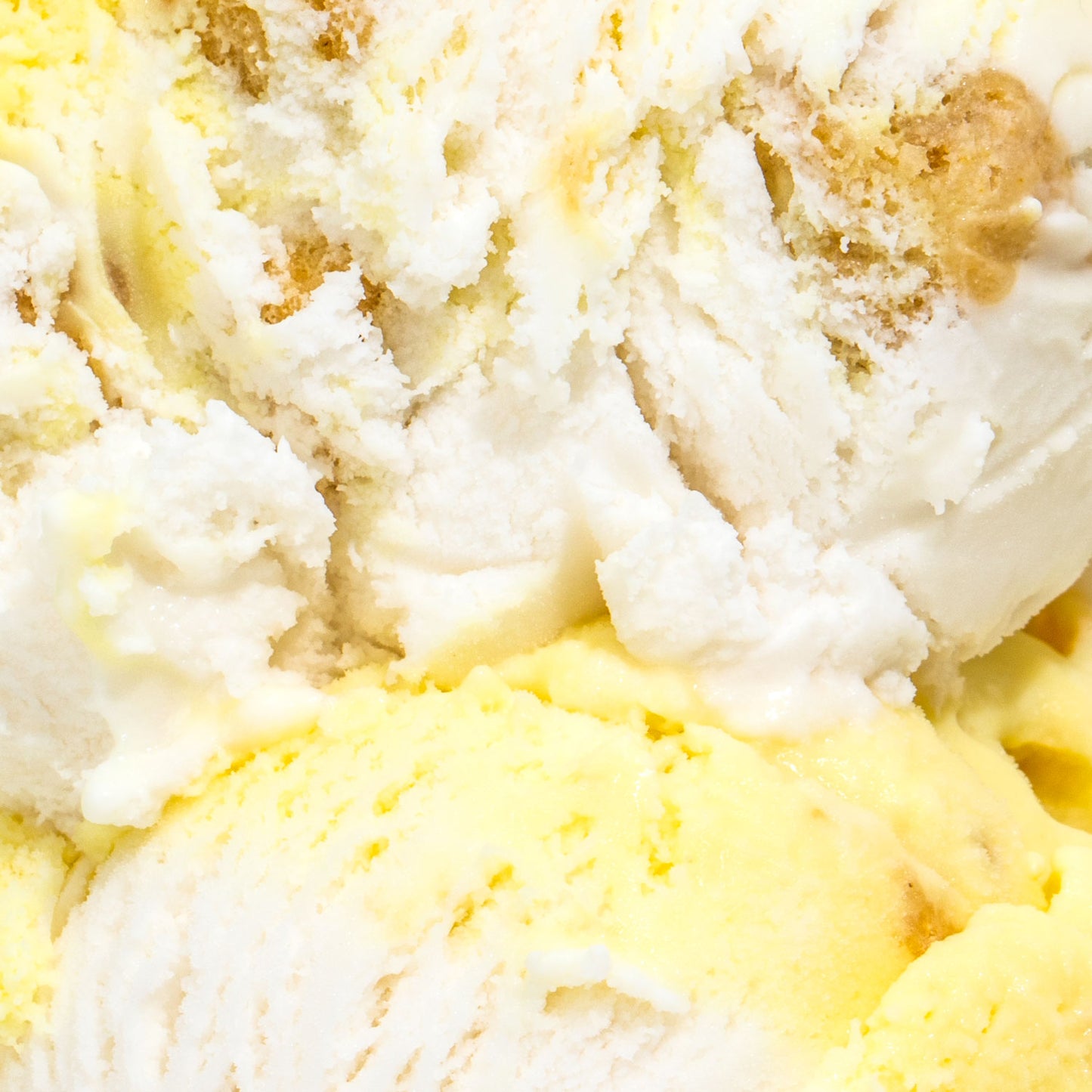 Banana Cream Pudding Pint Jeni's Splendid Ice Creams