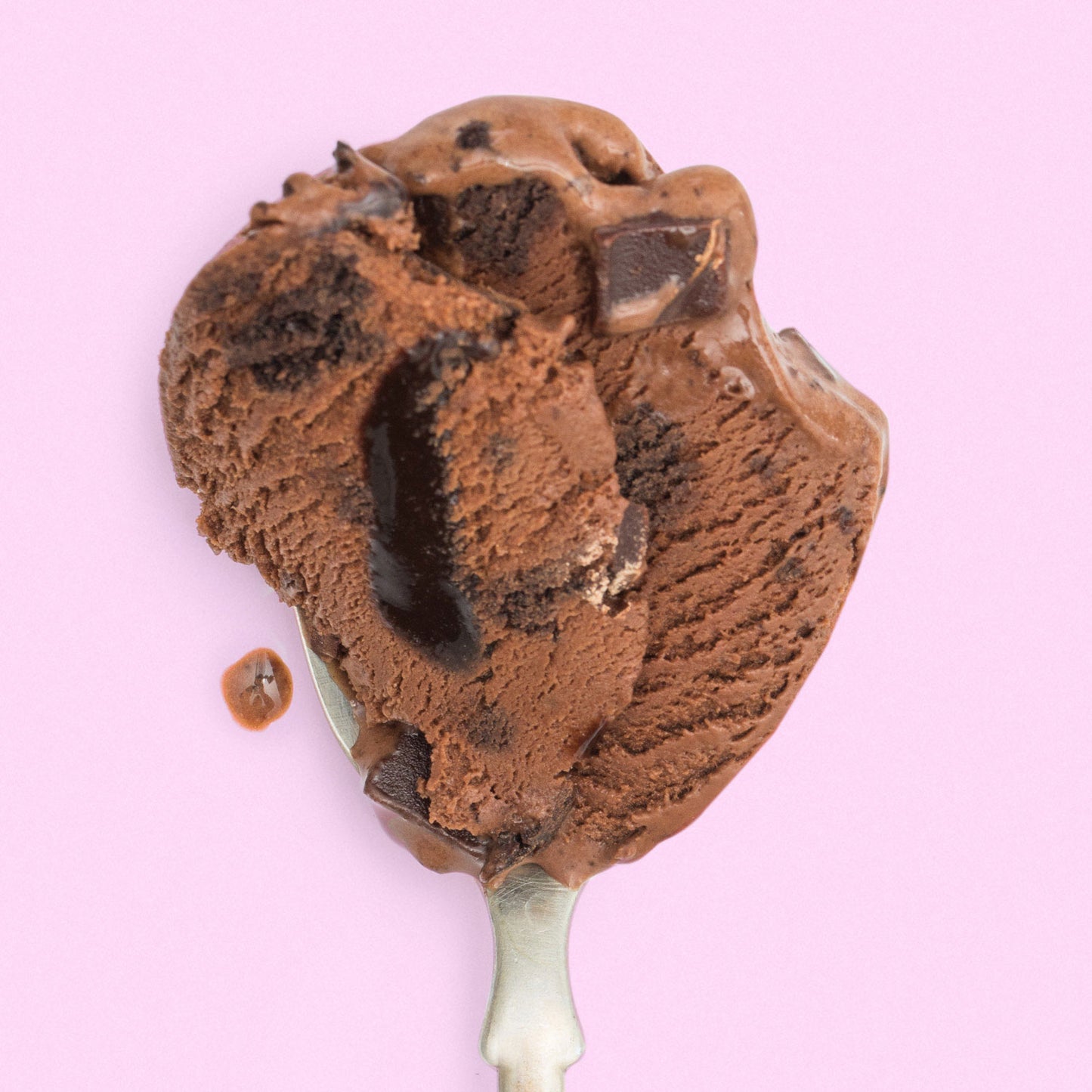 Blackout Chocolate Cake Pint Jeni's Splendid Ice Creams