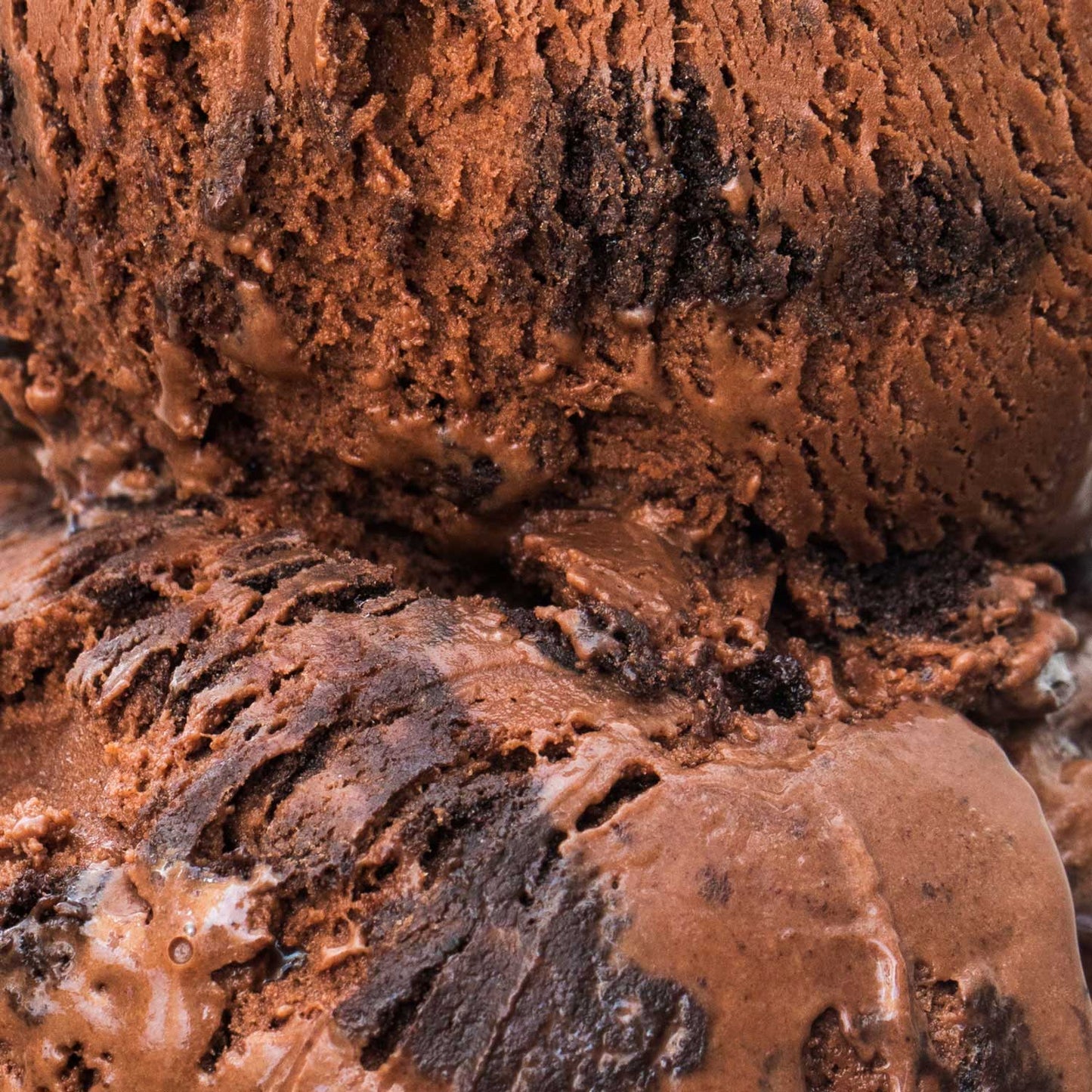 Blackout Chocolate Cake Pint Jeni's Splendid Ice Creams