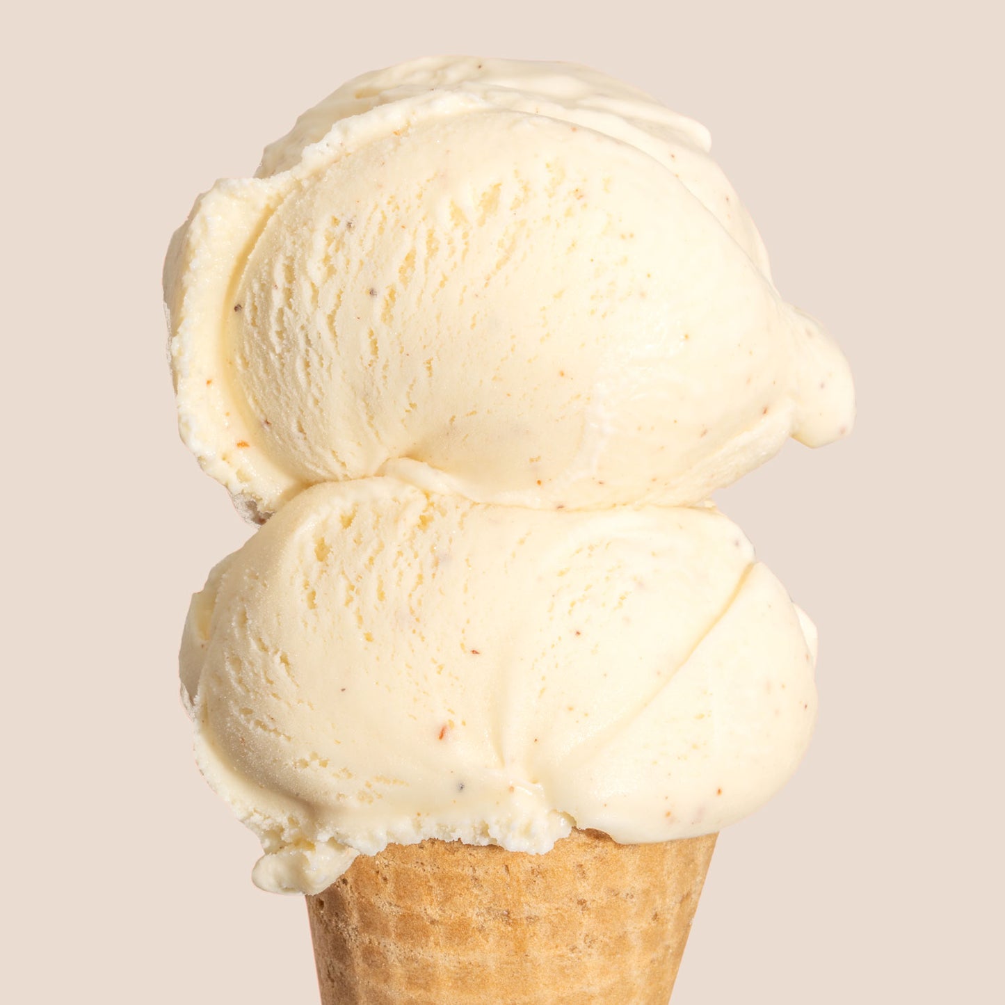 Boozy Eggnog Pint Jeni's Splendid Ice Creams