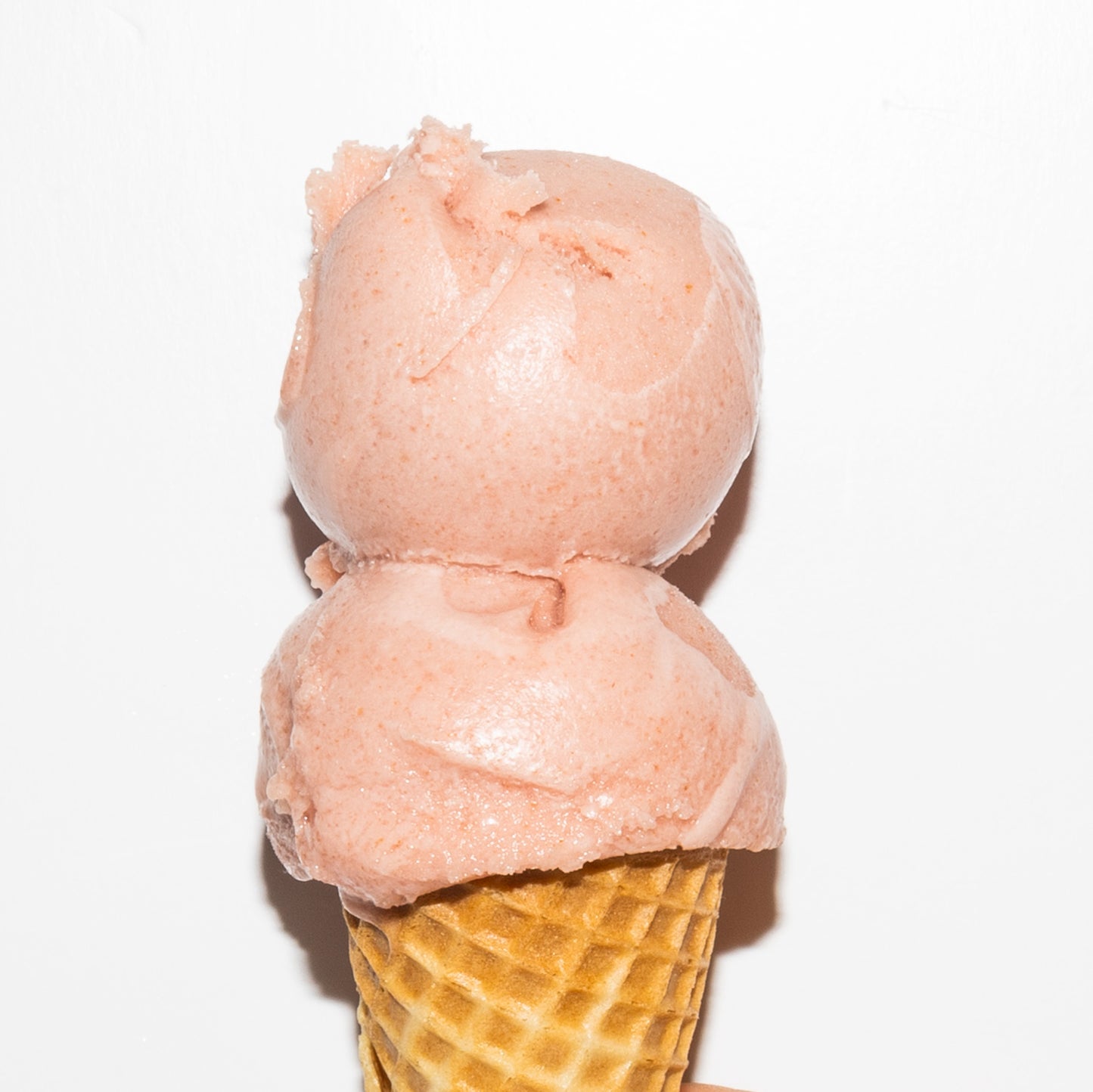 Frosé Sorbet