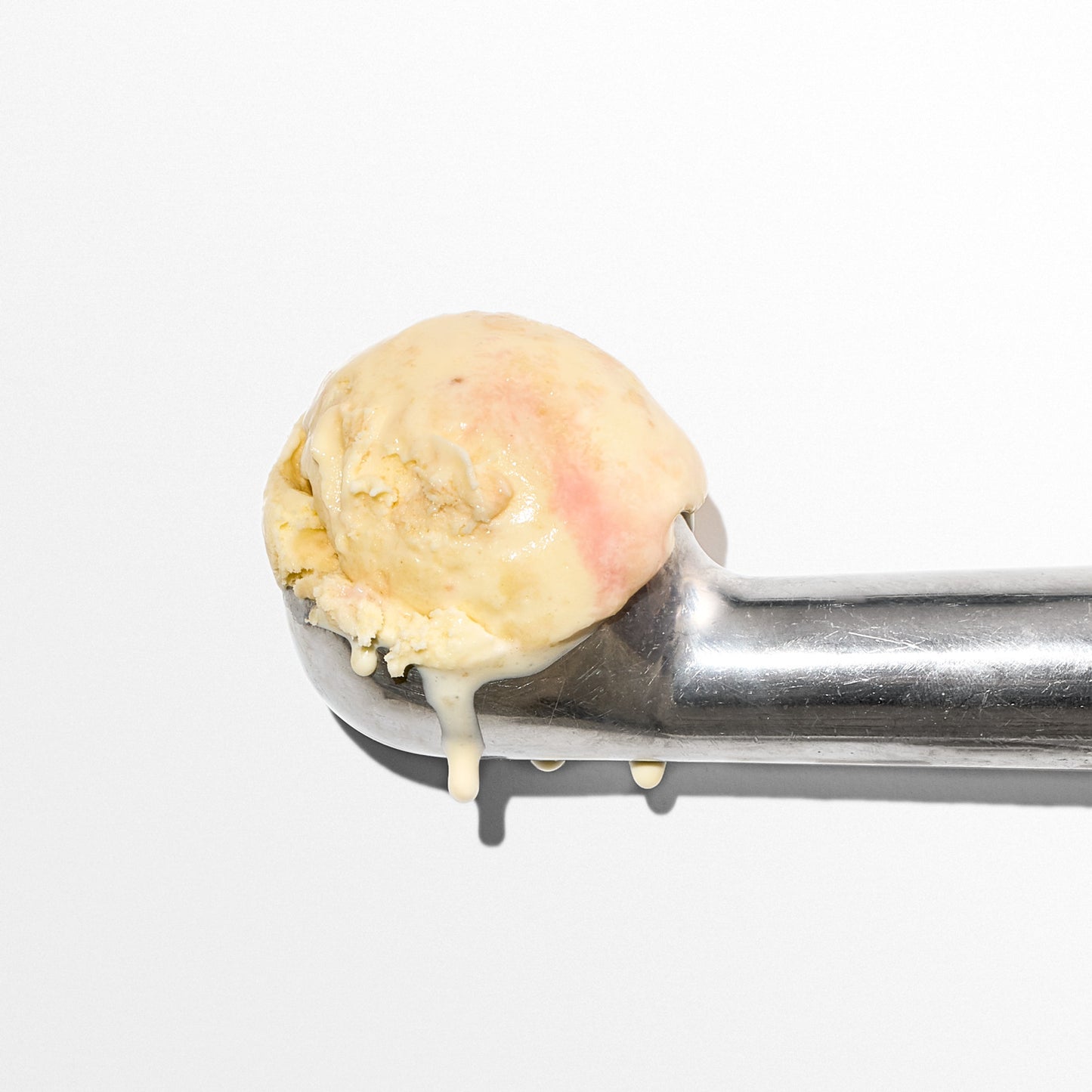 Frosted Sugar Cookie