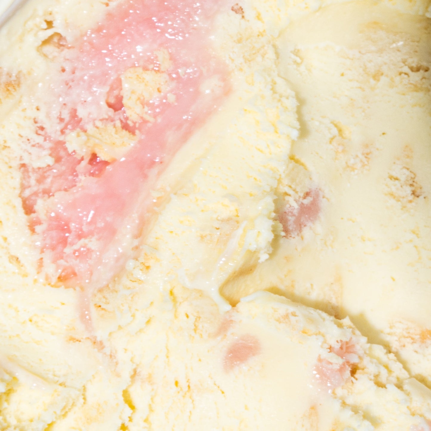 Frosted Sugar Cookie