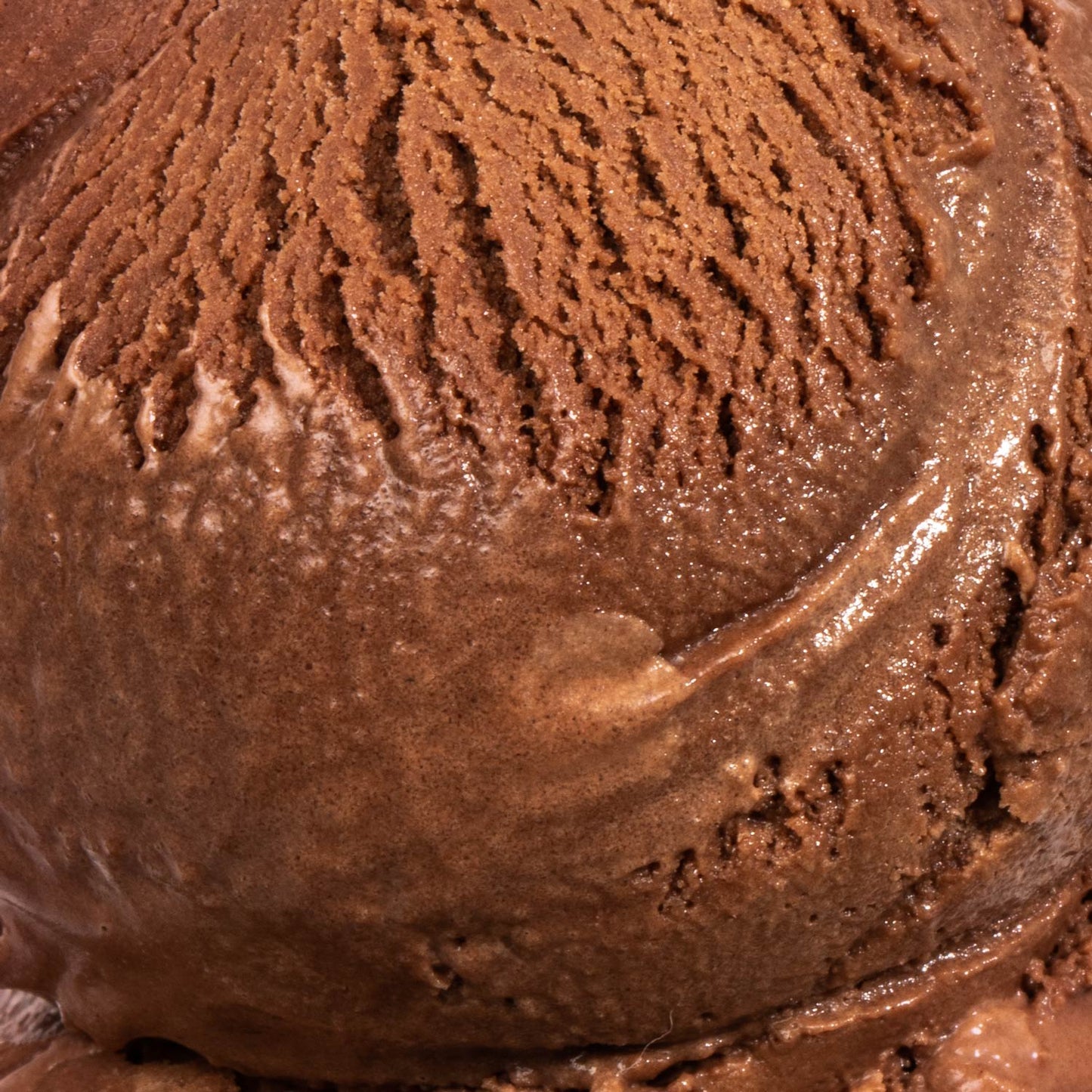 Dark Chocolate Truffle Pint Jeni's Splendid Ice Creams   