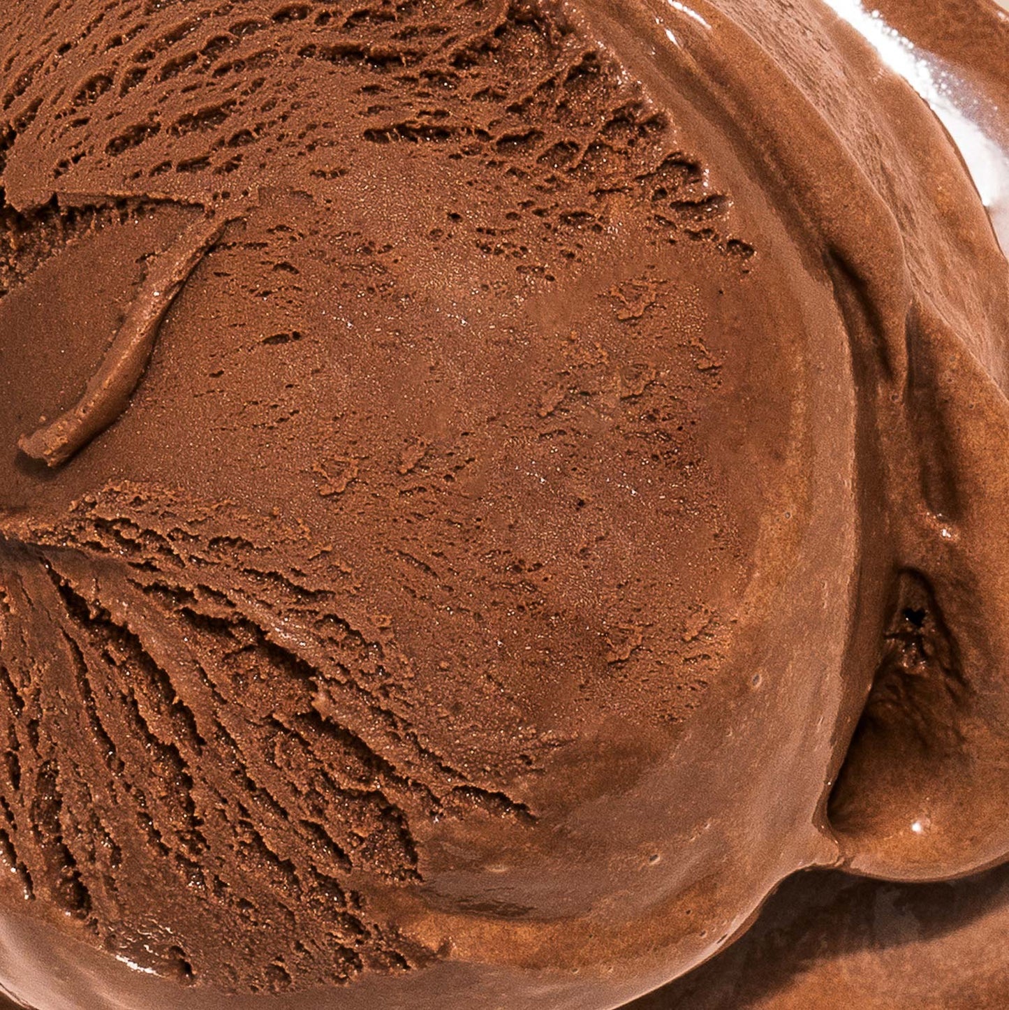Darkest Chocolate Pint Jeni's Splendid Ice Creams   