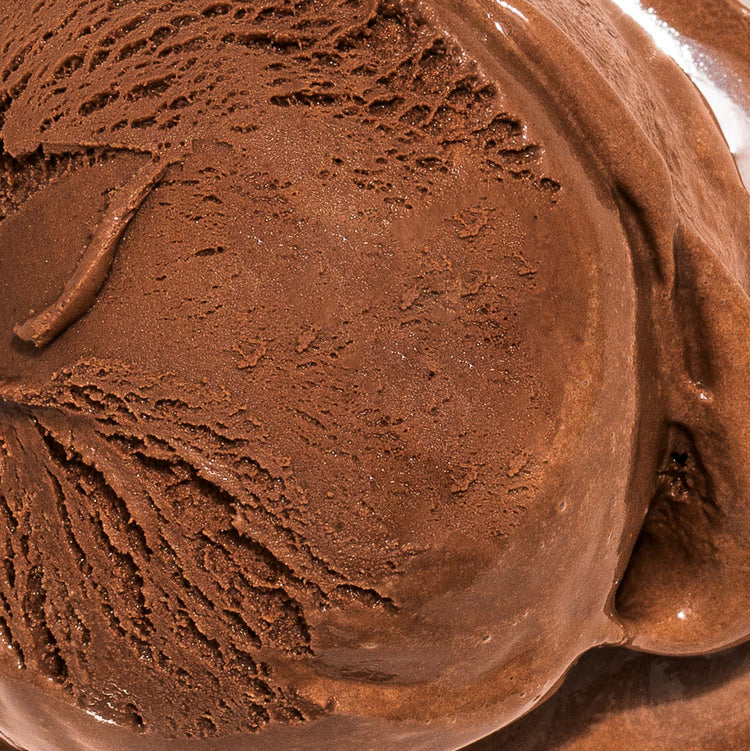Darkest Chocolate Jeni's Splendid Ice Creams