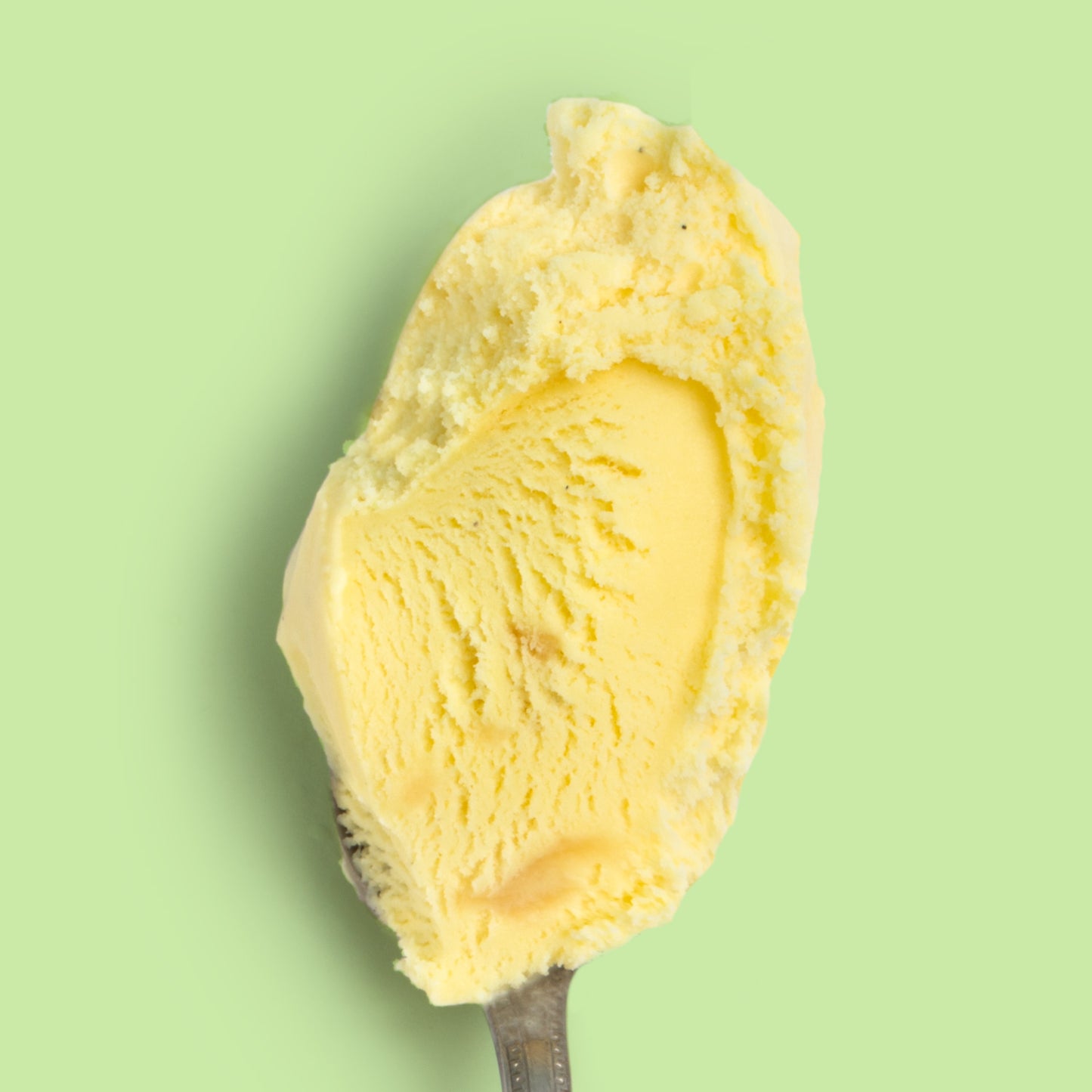 Golden Nectar Pint Jeni's Splendid Ice Creams   