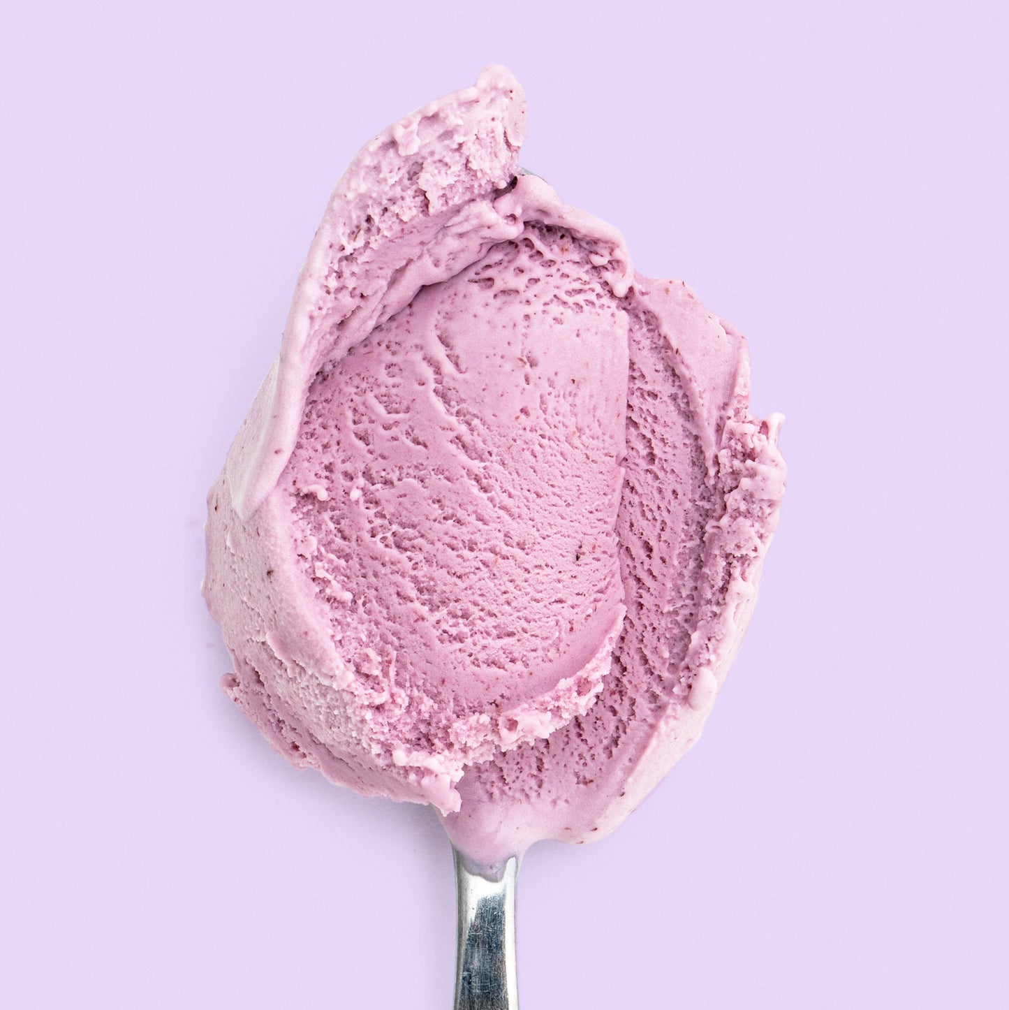 Wildberry Lavender Pint Jeni's Splendid Ice Creams   